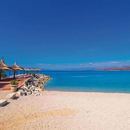 Gorgeous In 奈维斯
